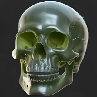 transparent skull
