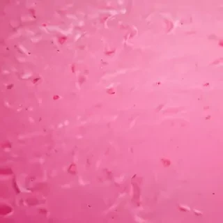 pink iphone background