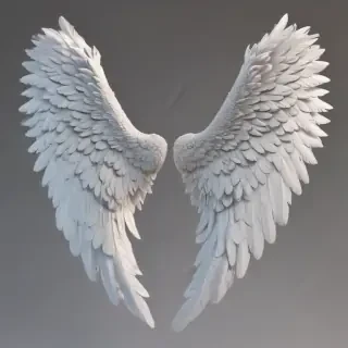 png angel wings