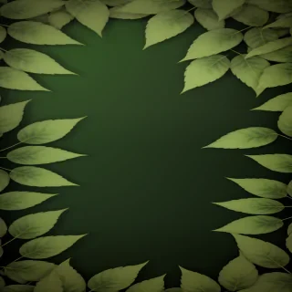 green leaves background