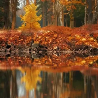fall background iphone