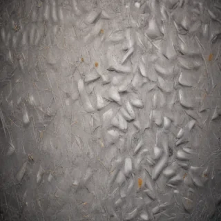 scratch texture