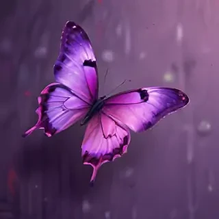 butterfly iphone wallpaper