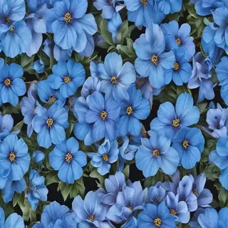 blue flowers png