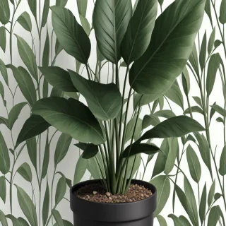 plant wallpaper iphone