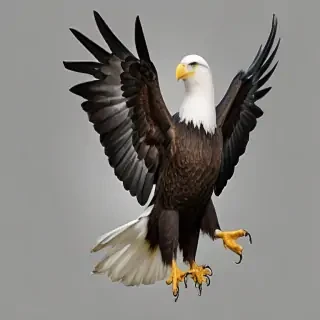 bald eagle png