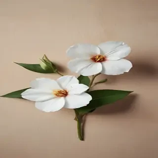 aesthic flower