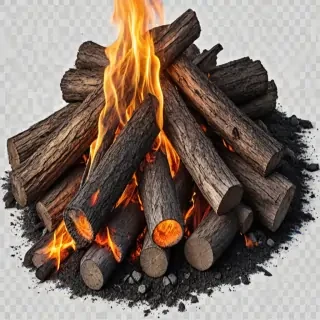 camp fire png