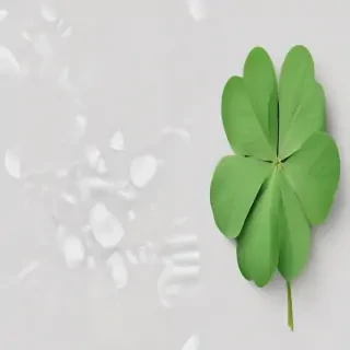 clover png