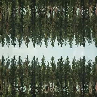 trees background