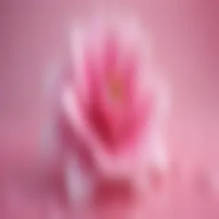 cute pink wallpaper backgrounds
