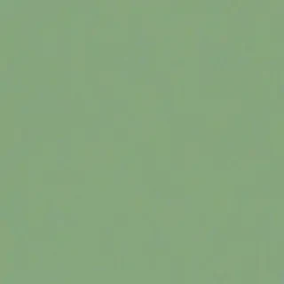 sage green bg