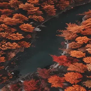 fall wallpaper iphone aesthetic