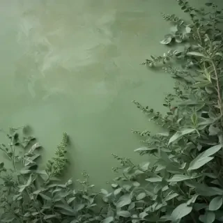 sage green aesthetic background
