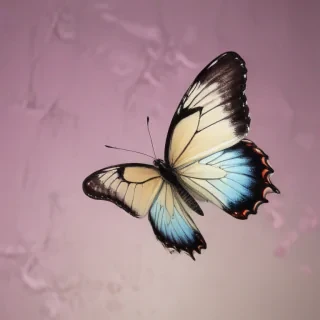 wallpaper iphone butterfly