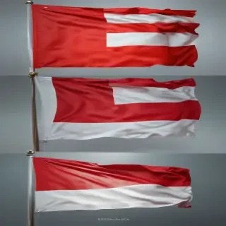 polish flag