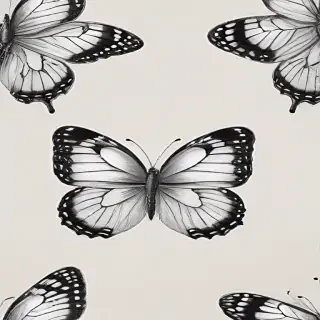 drawing butterfly