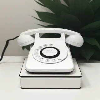 icon phone white