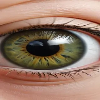 eye ball png