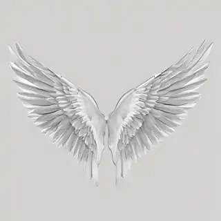 wings transparent