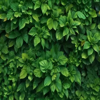 green wallpaper for iphone