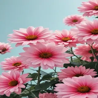 flower aesthetic wallpapers
