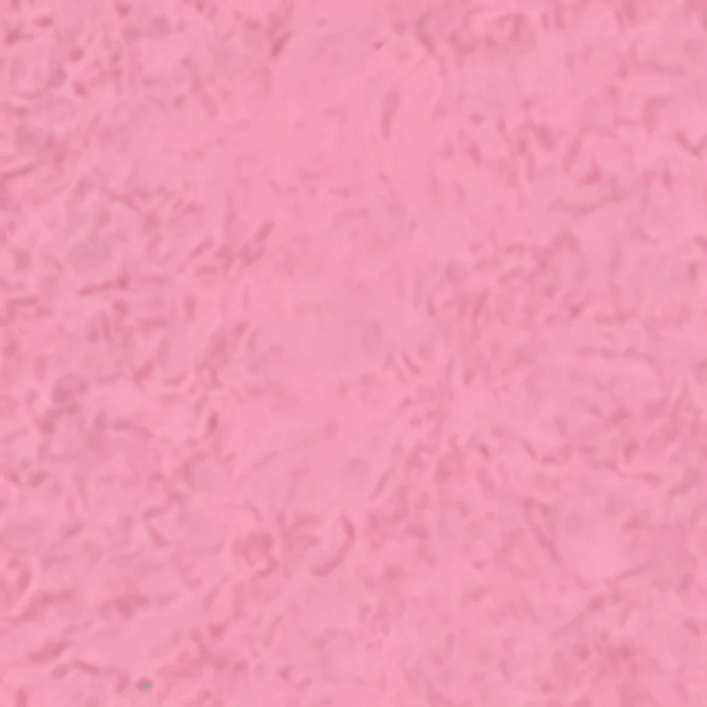 pink blank background