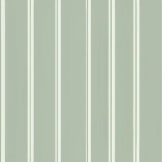 aesthetic sage green backgrounds
