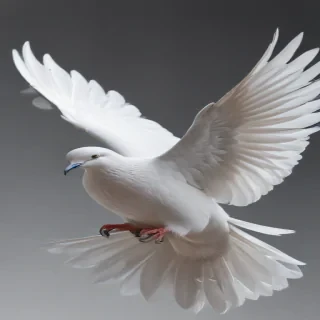 dove png