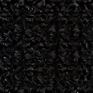 black wallpaper for phone