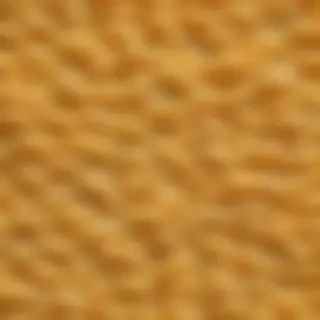 macaroni and cheese png