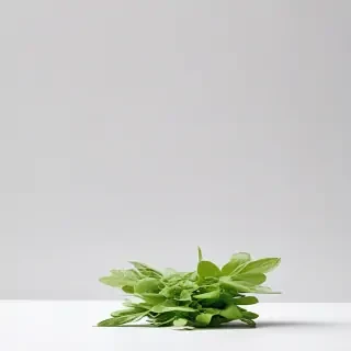green on white background