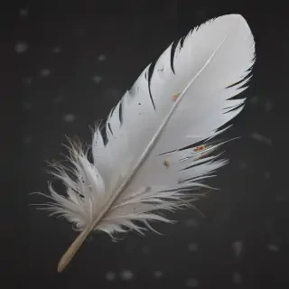 feather png
