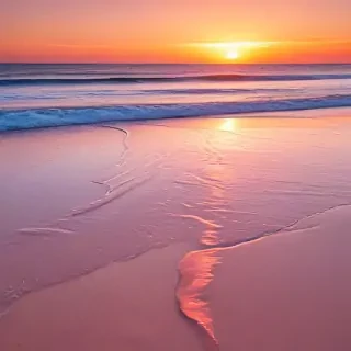 pink beach sunset