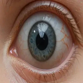 png eyeball