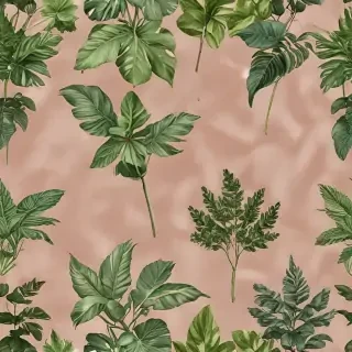 plants no background