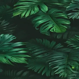 green backgrounds aesthetic