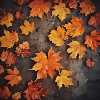 iphone fall wallpaper
