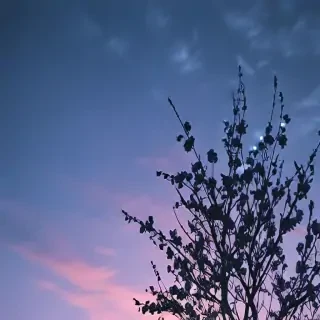 blue aesthetic wallpapers iphone