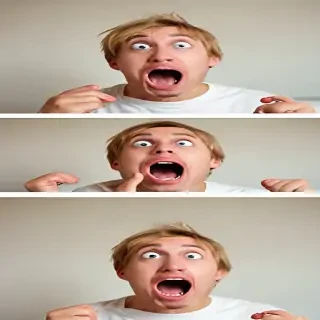 funny photos