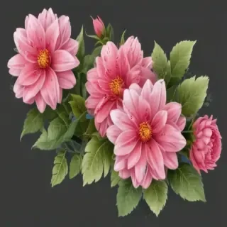 flower clipart transparent background
