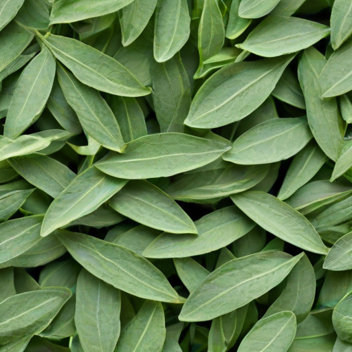 sage green images
