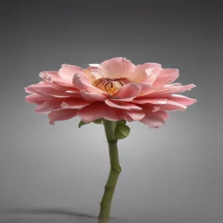 donate png