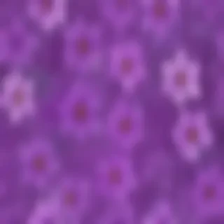 background flower purple