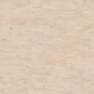 neutral computer background