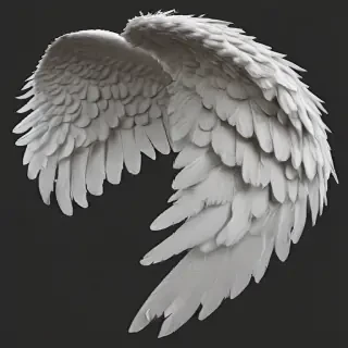 realistic angel wings png