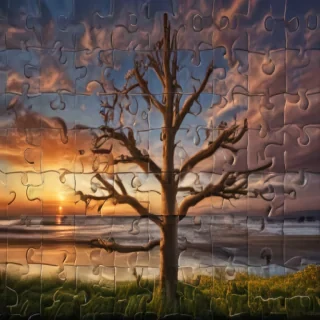 puzzle images