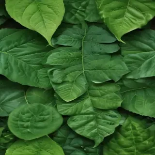 green leaf design
