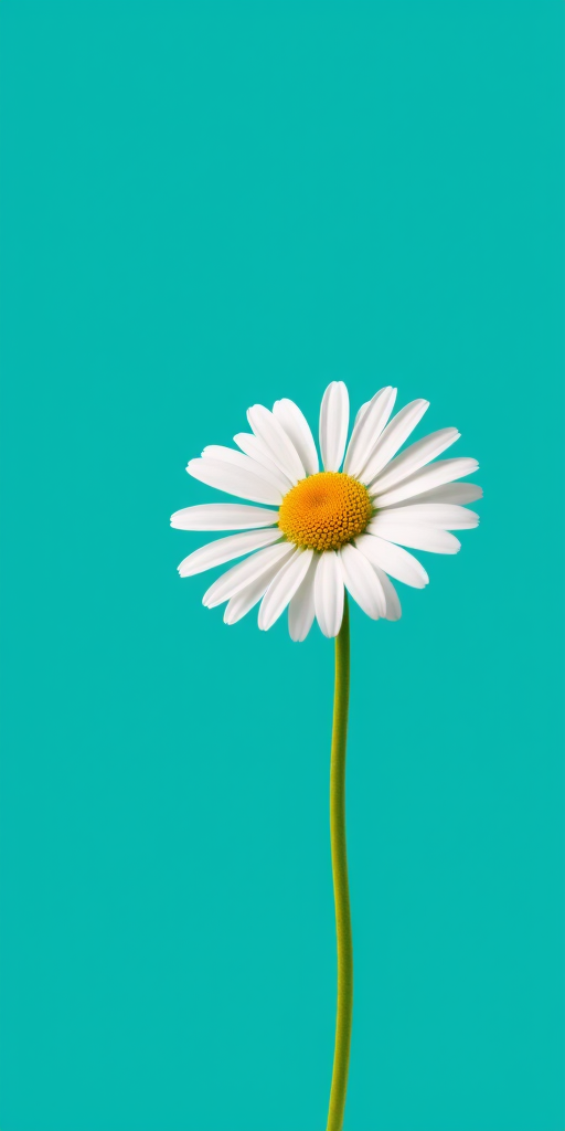 Create a vibrant illustration of a single white daisy with a yellow center against a solid teal background, using a DSLR camera with an aperture of f/2.8, a focal length of 50mm, and soft natural lighting to enhance color contrast and sharpness.