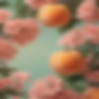 peach aesthetic wallpaper